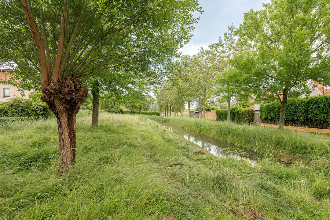 Photo 47 of Aalscholverstraat 11