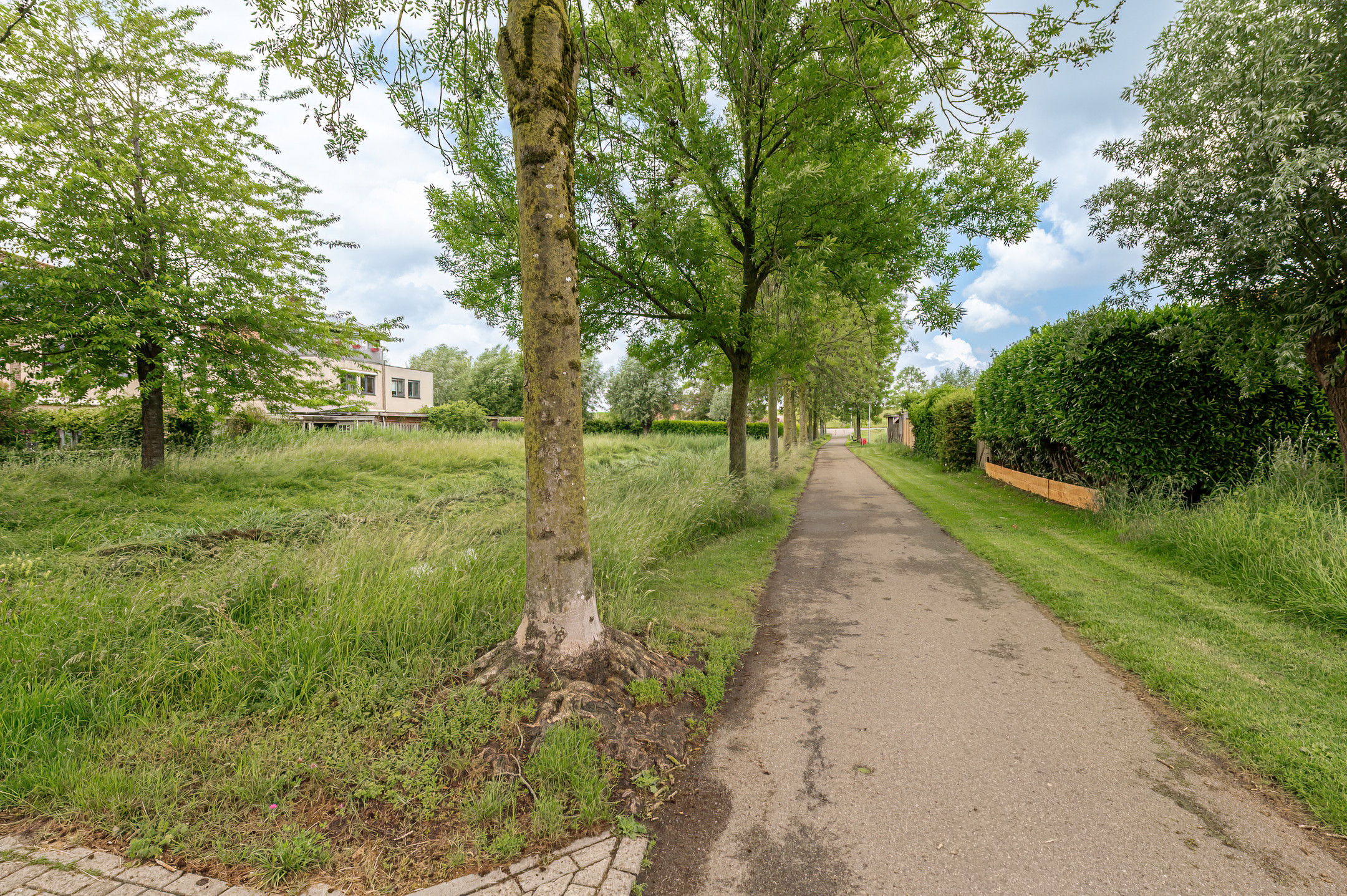 Photo 48 of Aalscholverstraat 11