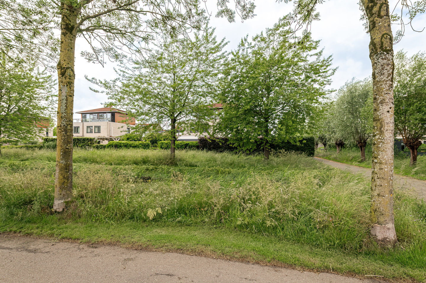 Photo 50 of Aalscholverstraat 11