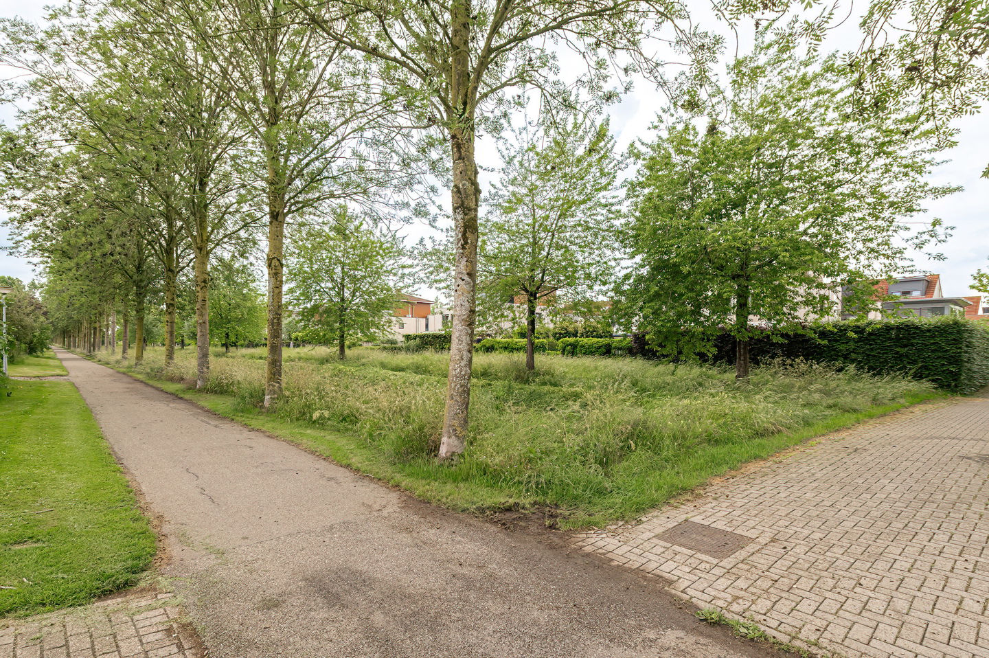 Photo 49 of Aalscholverstraat 11