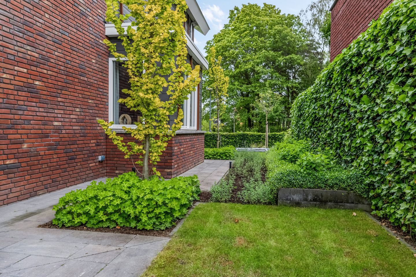 Foto 44 van Gebroeders van Steenbergenplantsoen 3