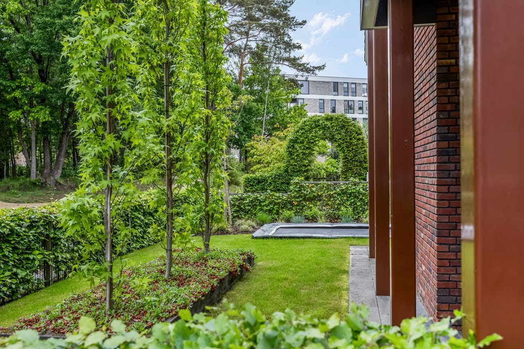 Foto 47 van Gebroeders van Steenbergenplantsoen 3