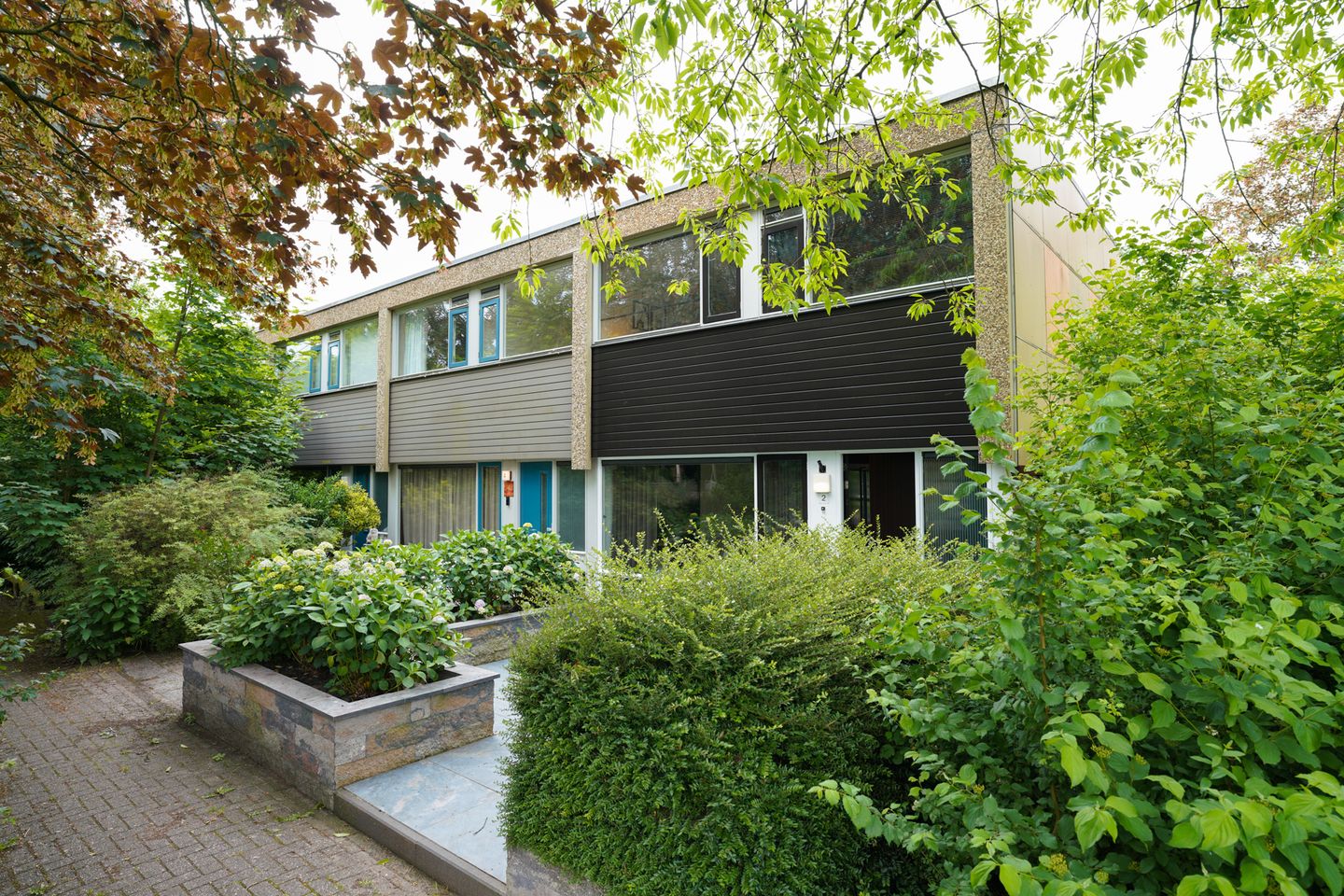 Foto 5 van Klaproos 2