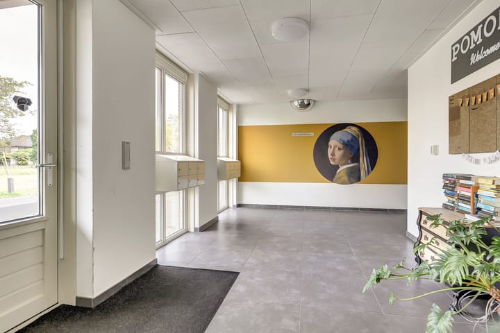 Photo 4 of Vitruvius 62