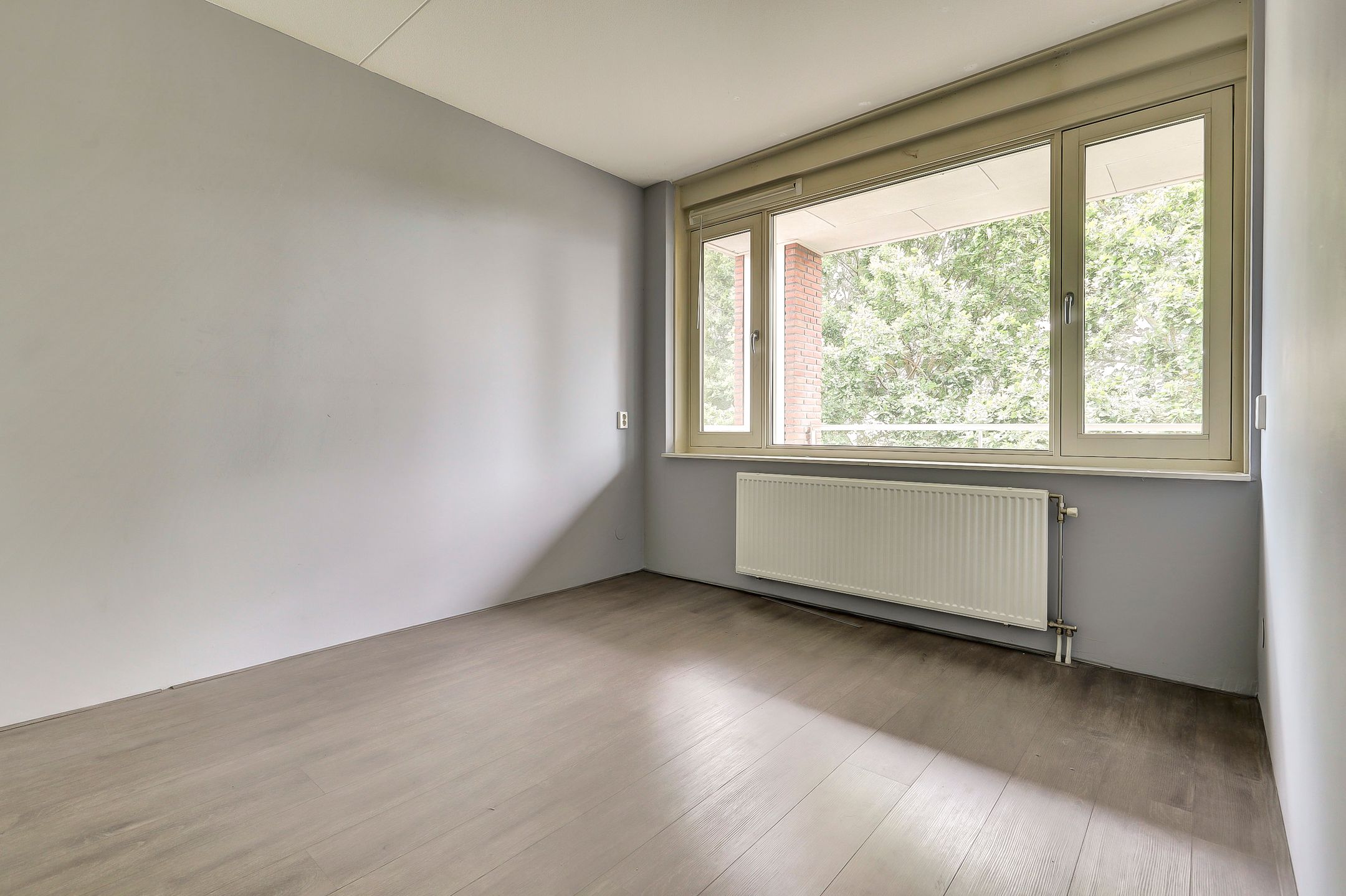 Foto 15 van Vitruvius 62