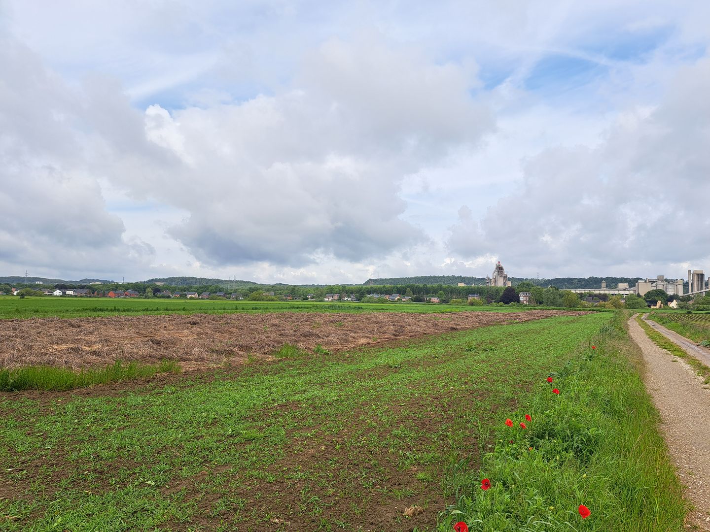 Schansweg ong - Eijsden - Afbeelding 4