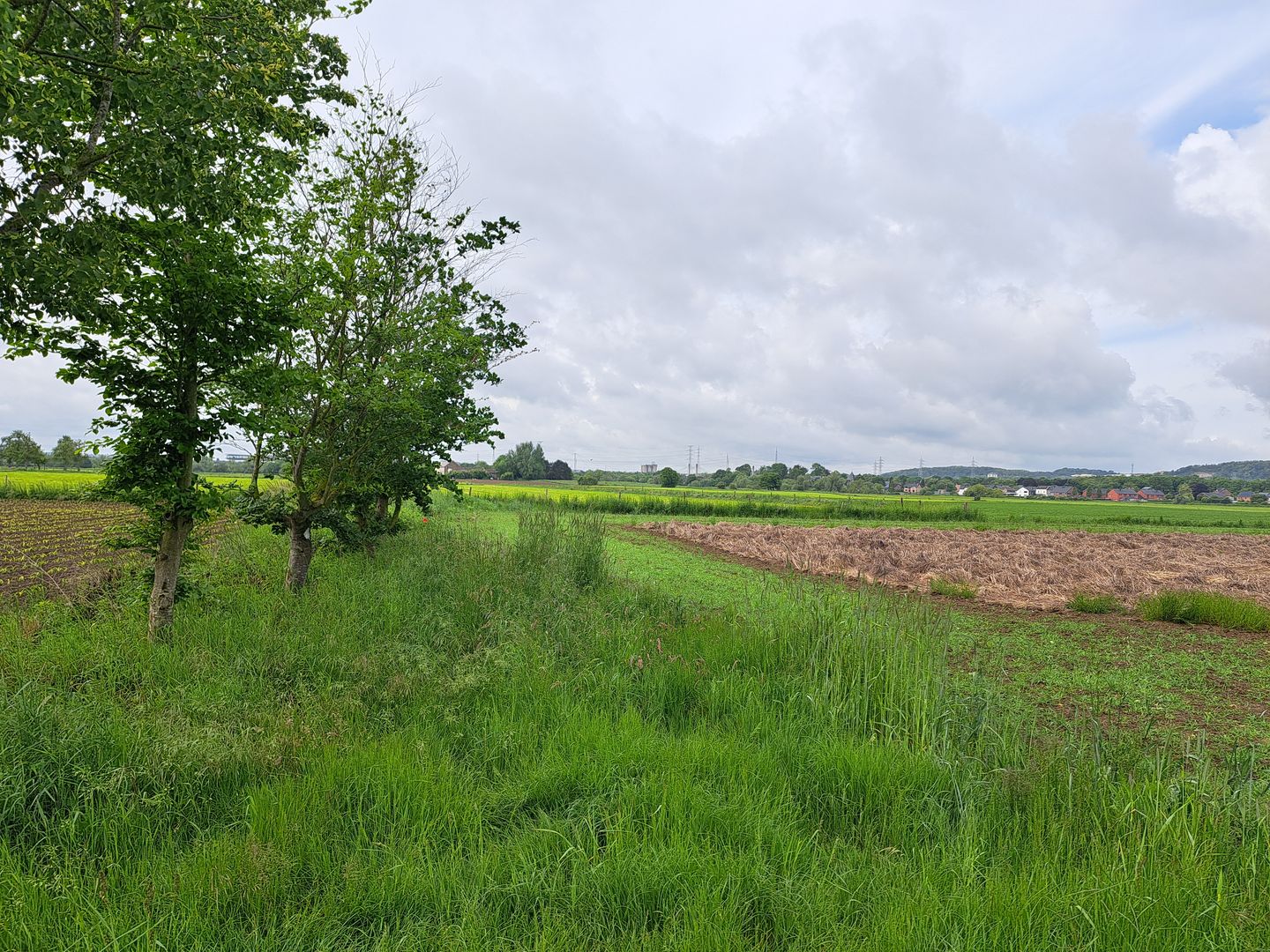 Schansweg ong - Eijsden - Afbeelding 3
