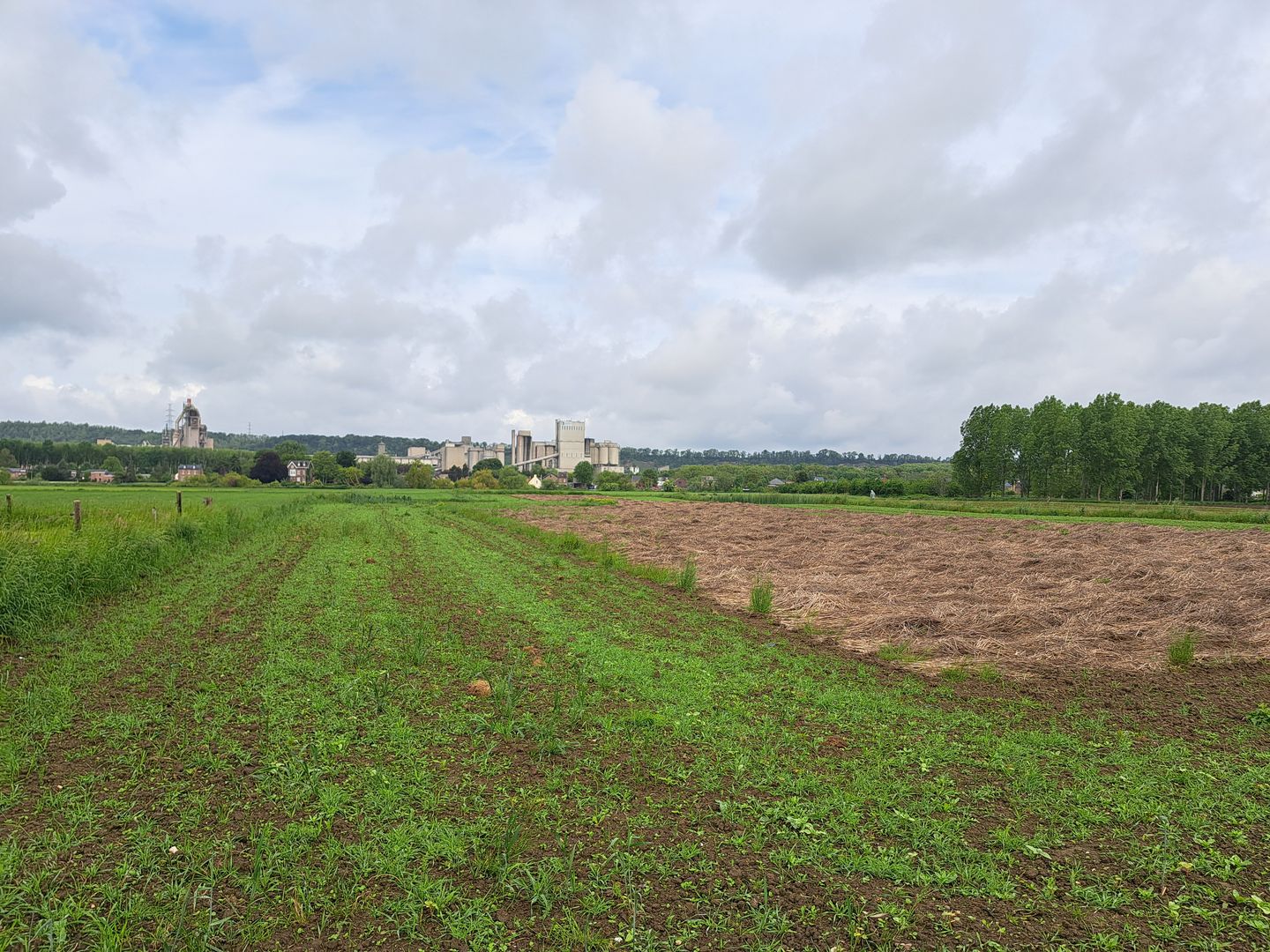 Schansweg ong - Eijsden - Afbeelding 7
