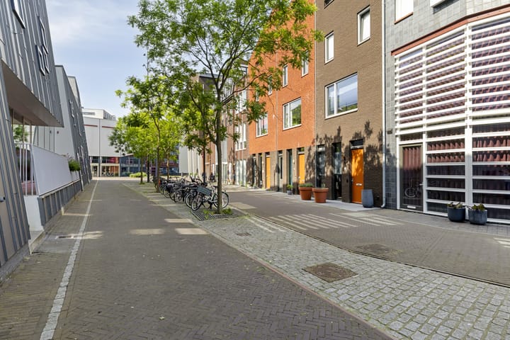 Foto 4 van Koperen Kees 9