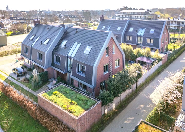 Hoge Vierschaar 7