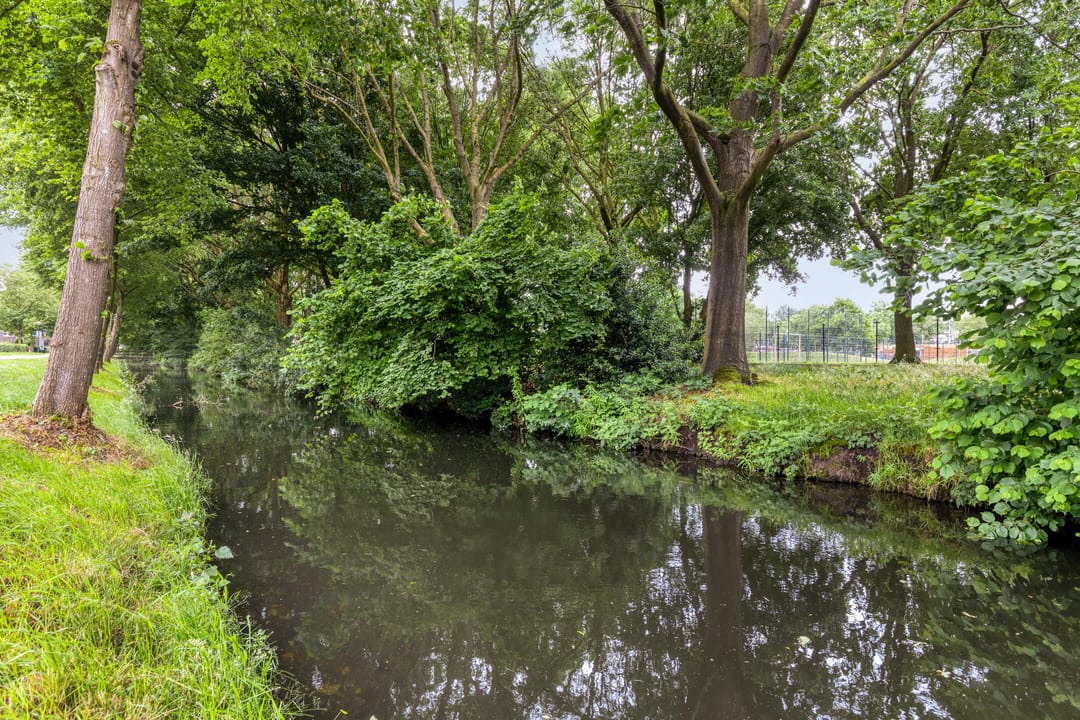 Photo 58 of Plevier 49