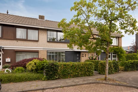 Reesstraat thumbnail