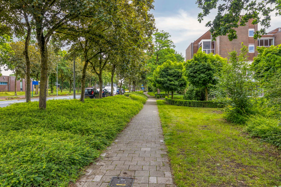 Foto 47 van Reesstraat 4