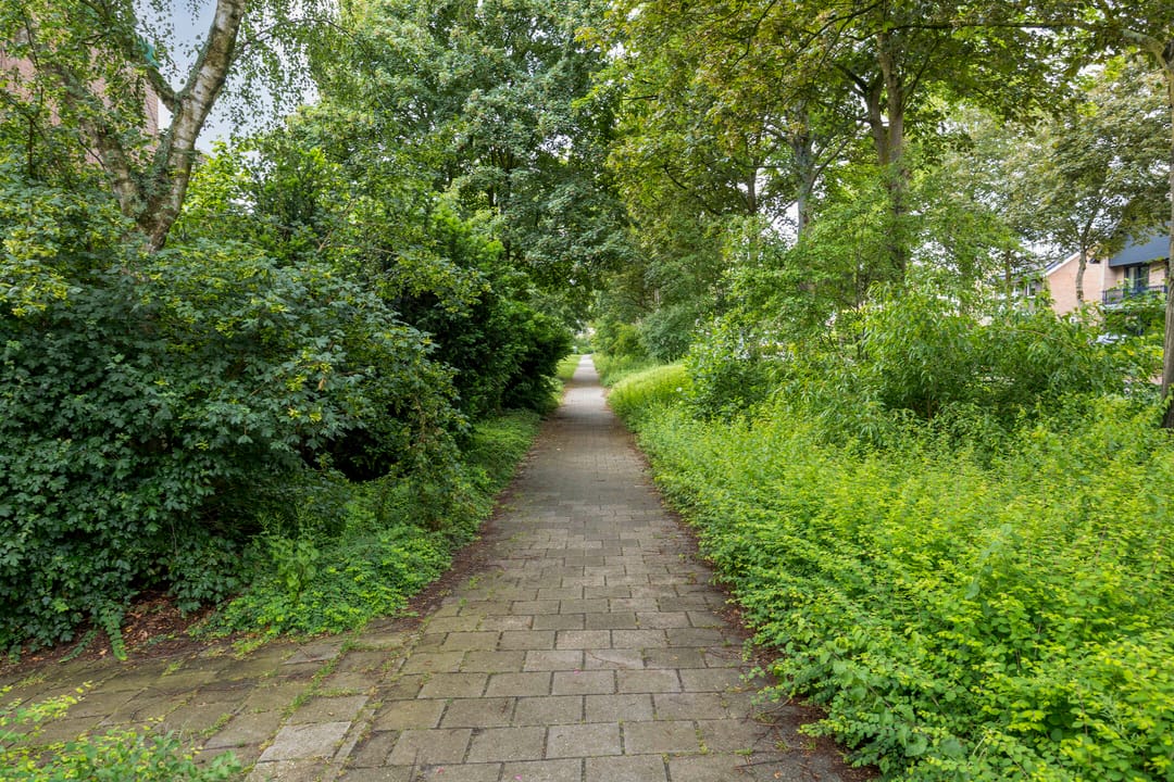 Foto 46 van Reesstraat 4