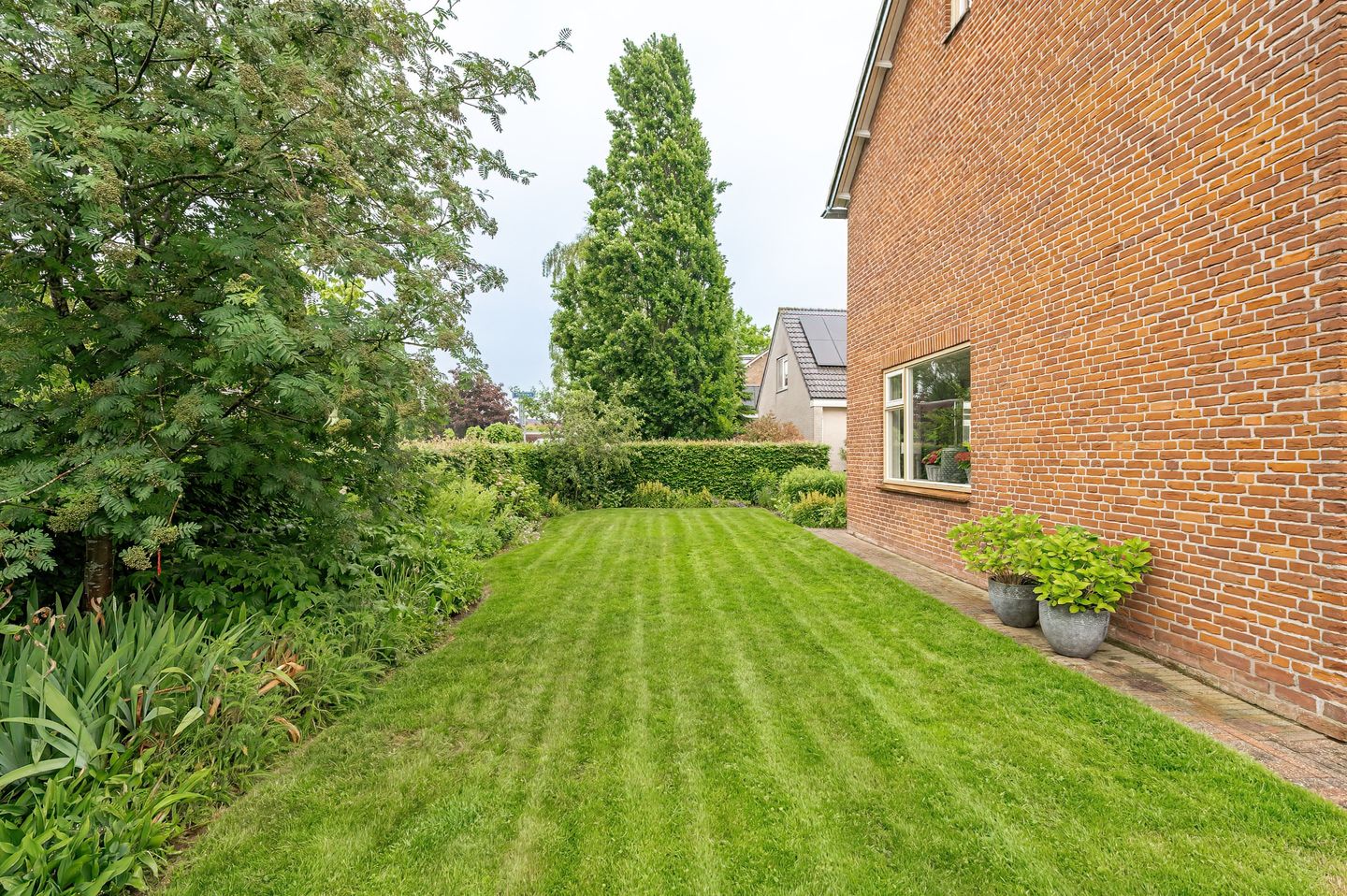 Photo 44 of Hoefslag 2