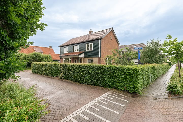 Foto 4 van Hoefslag 2