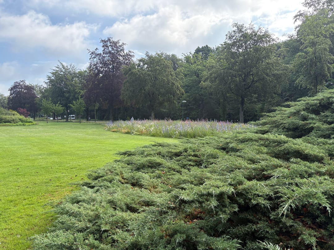 Service Apartment with Nature Views in De Bilt for Residents 50 and Over — 11