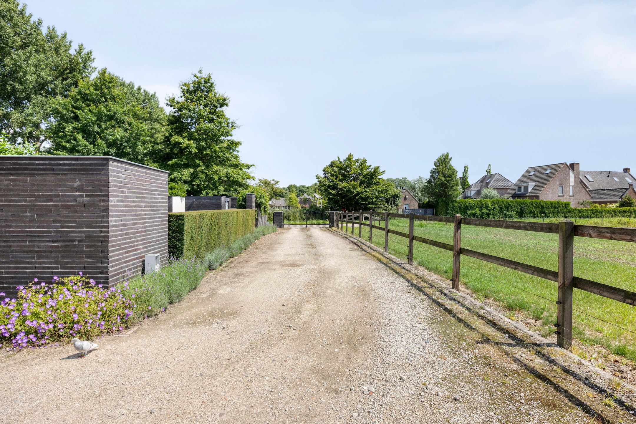 Photo 51 of Lithoijense Dijk 11