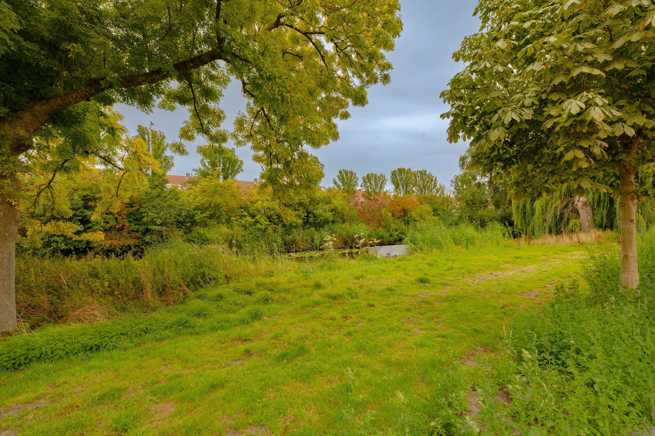 Photo 54 of Lodewijk van Deyssellaan 196