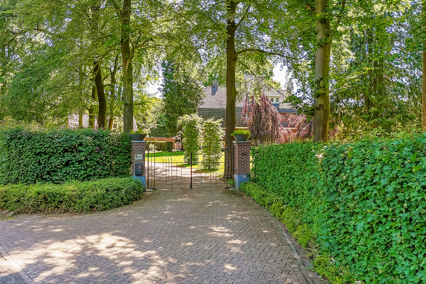 Photo 5 of Apeldoornsestraat 60
