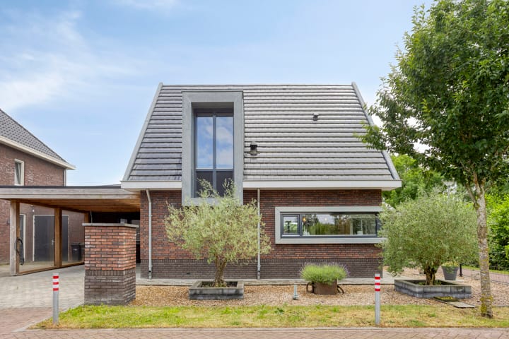 Foto 5 van Lemoenappel 7