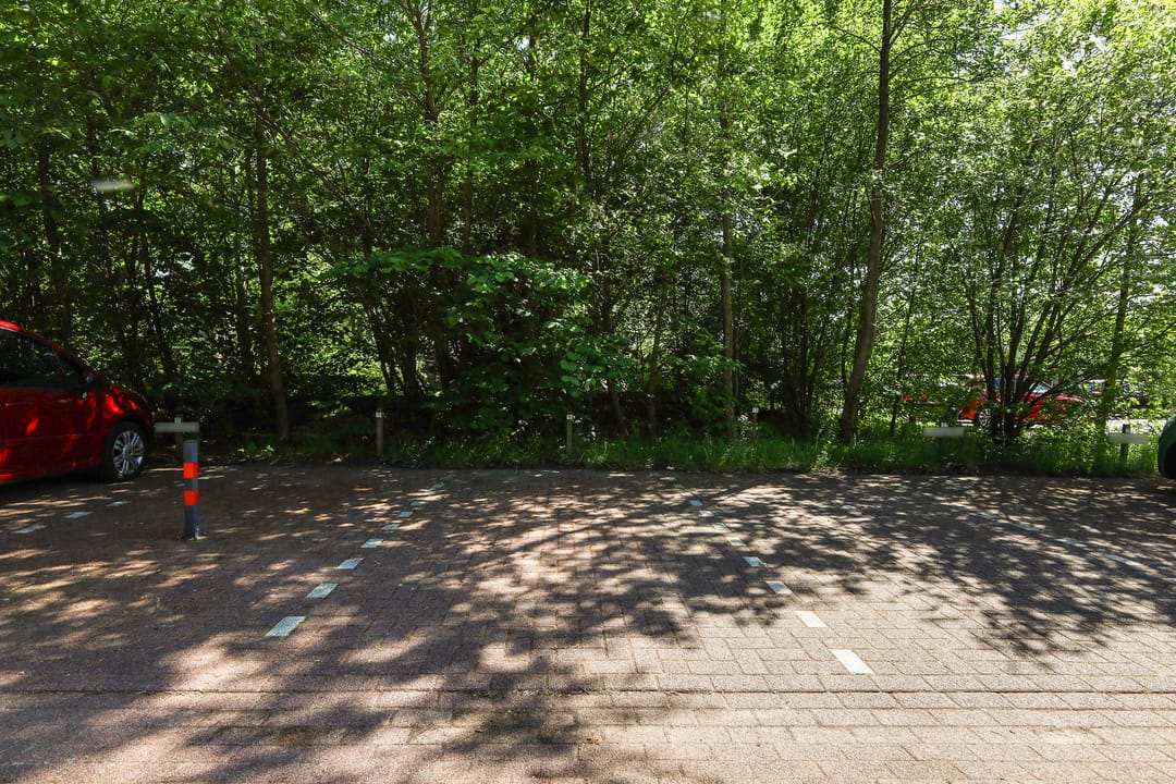Foto 47 van De Lanen 9