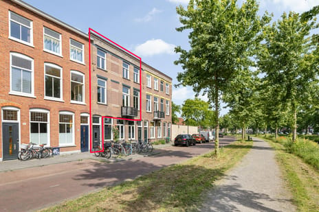 Nassausingel thumbnail