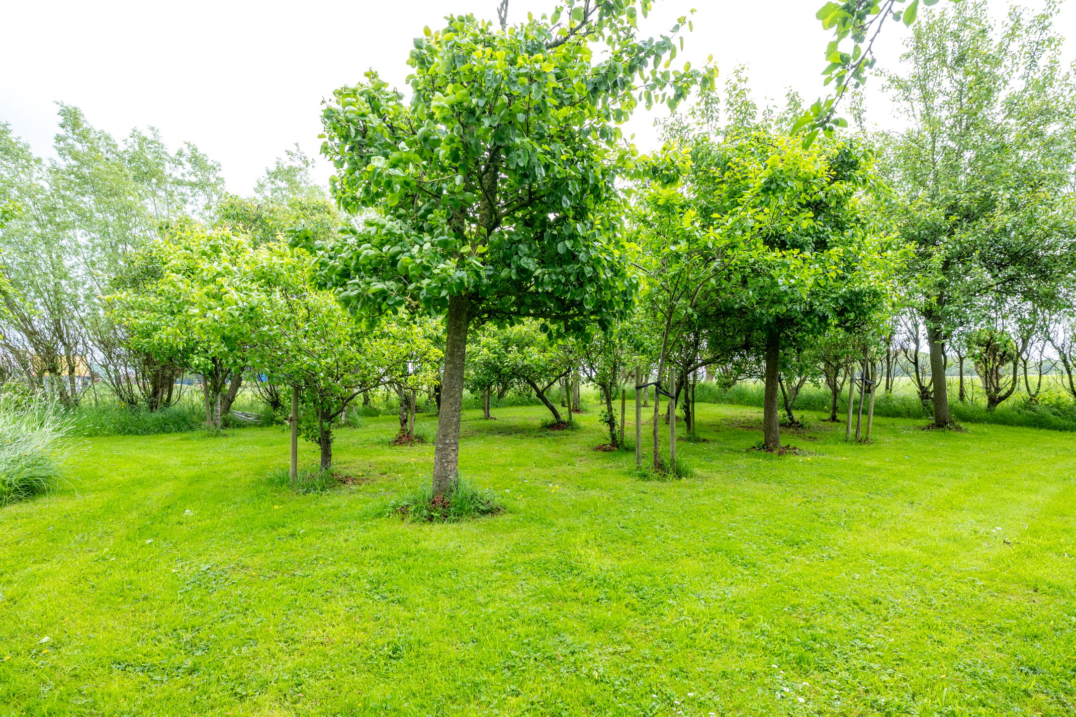 Photo 54 of Ameronger Wetering 24-A