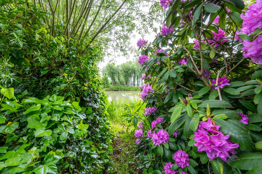 Photo 46 of Ameronger Wetering 24-A