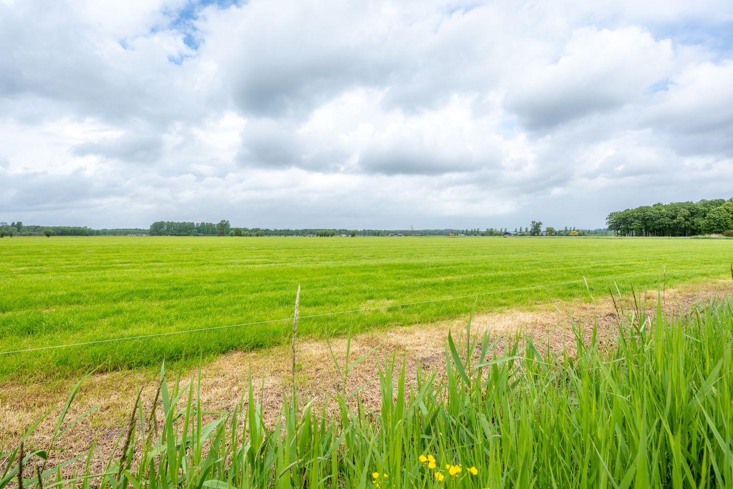 Photo 59 of Ameronger Wetering 24-A