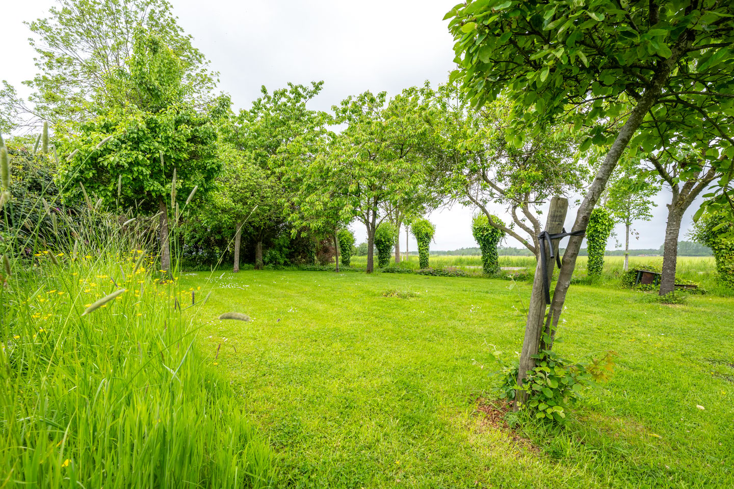 Photo 44 of Ameronger Wetering 24-A