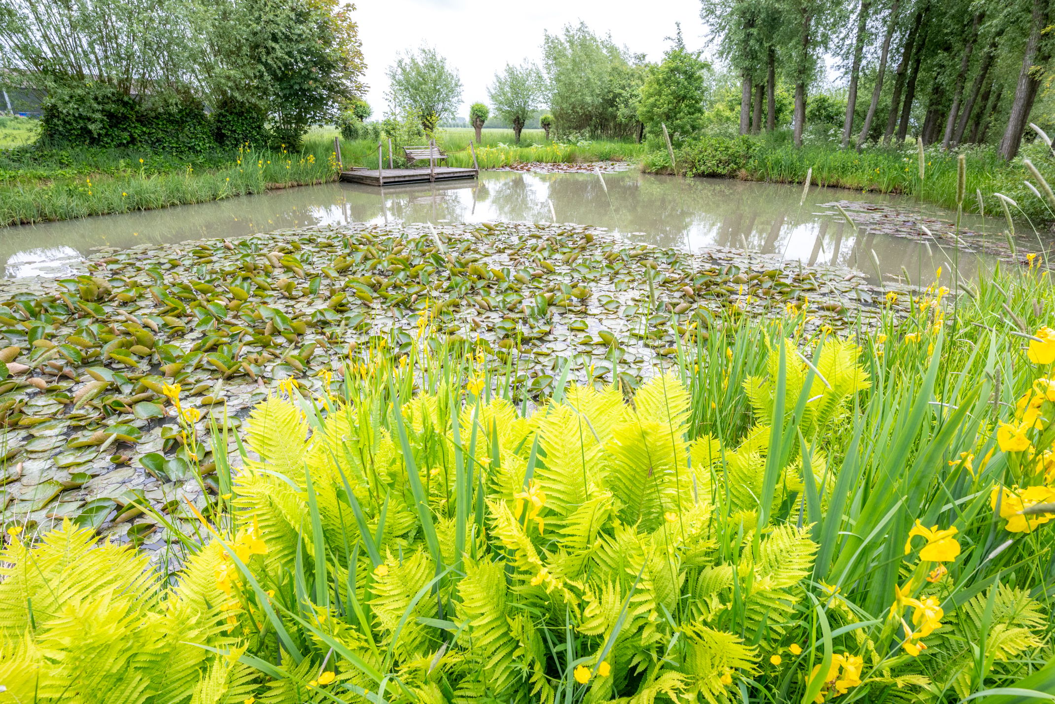Photo 51 of Ameronger Wetering 24-A