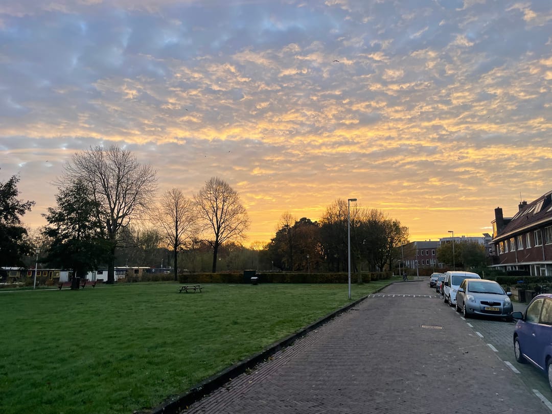 Photo 38 of Rochus Meeuwiszstraat 29