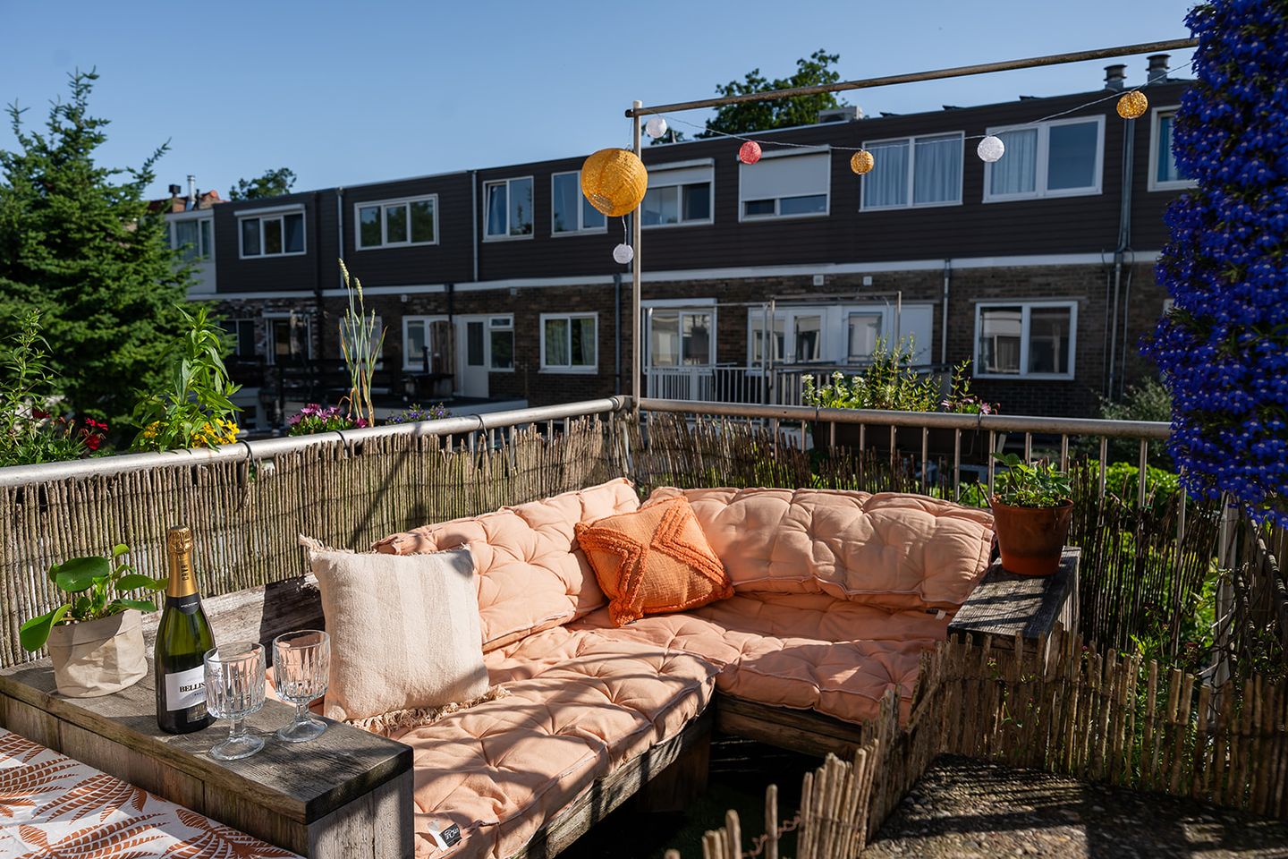 Photo 25 of Rochus Meeuwiszstraat 29