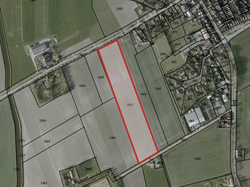 Mariekerkseweg - Grijpskerke - Afbeelding 1