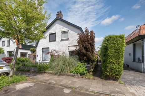 van Wassenaerstraat thumbnail