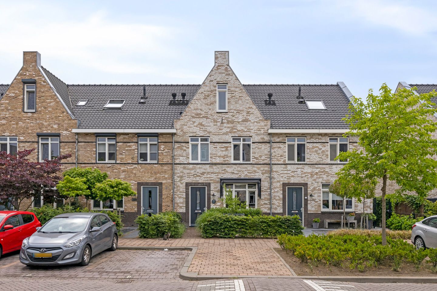 Foto 1 van Aalscholver 18