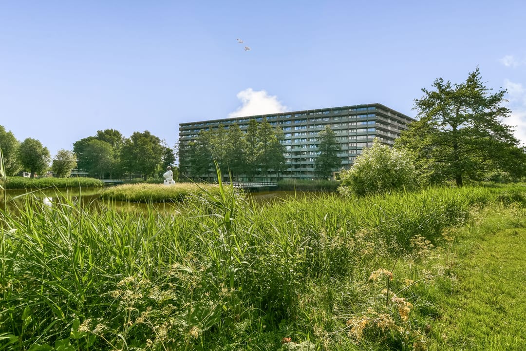 Foto 2 van Kleiburg 203