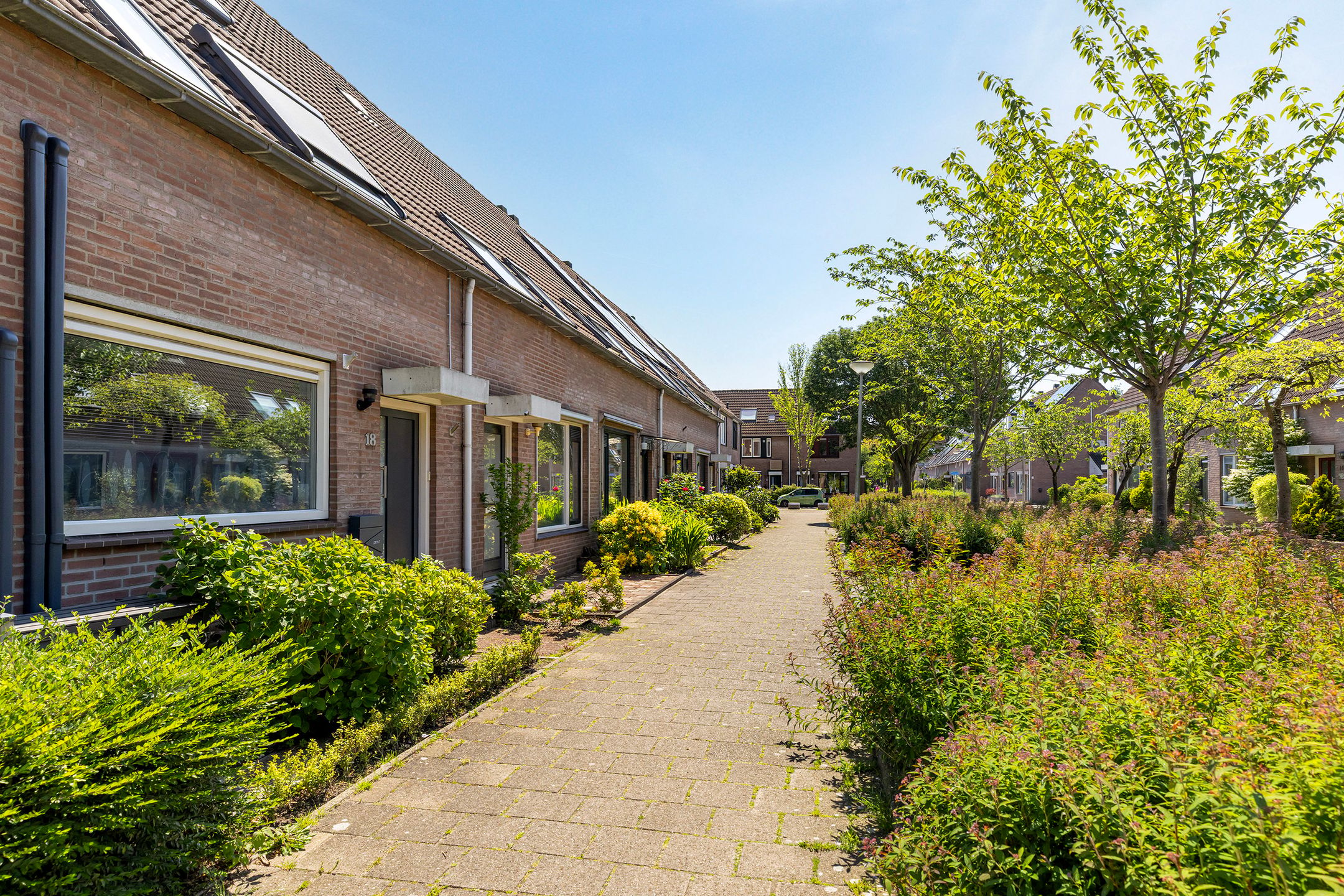 Foto 6 van Eendendaal 20