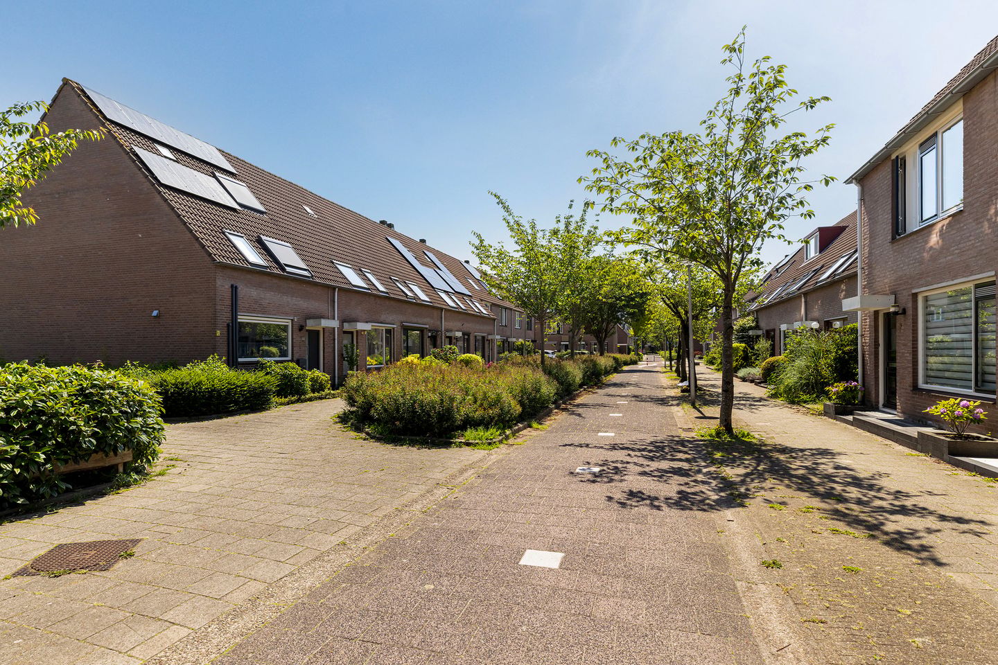 Foto 5 van Eendendaal 20
