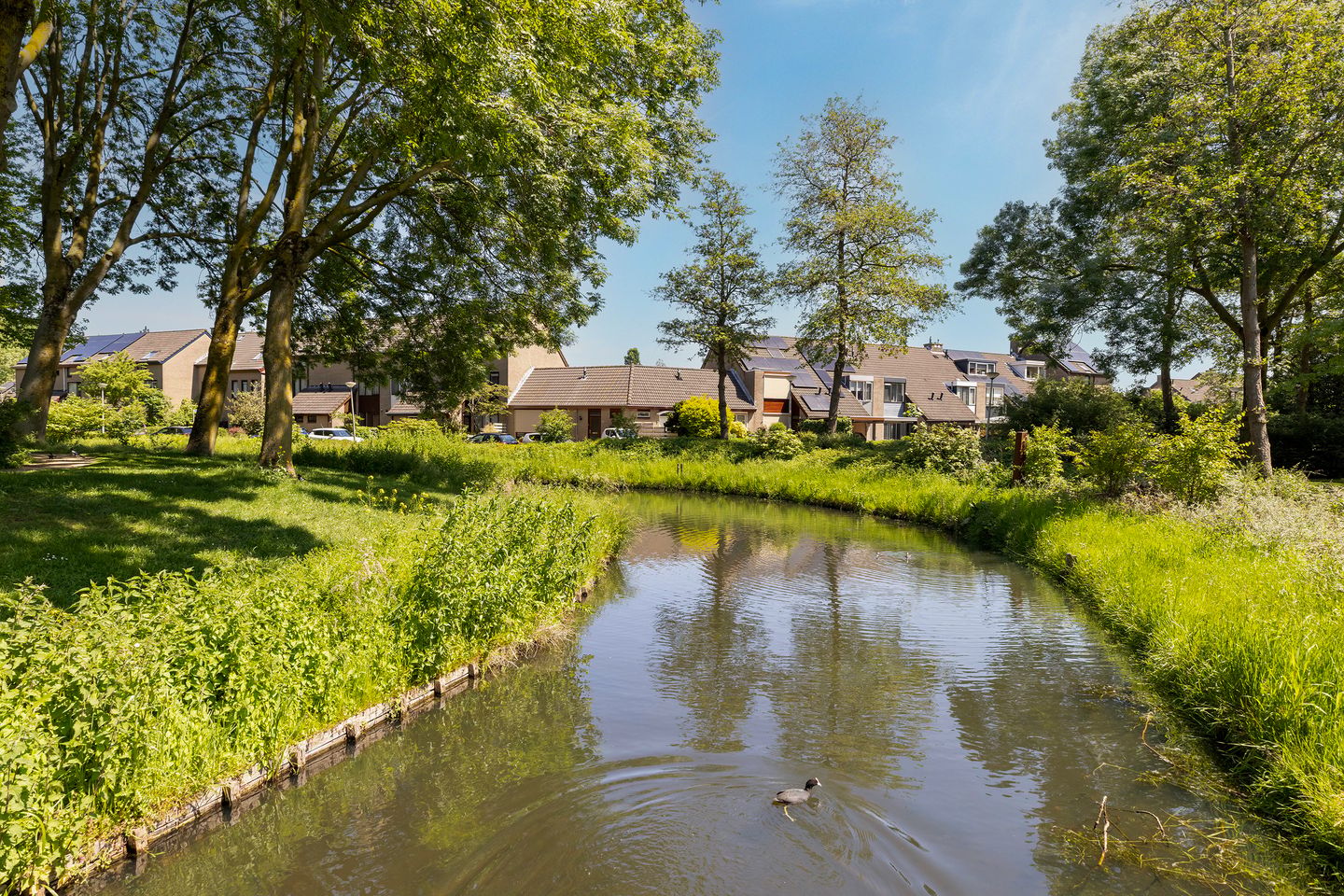 Foto 40 van Eendendaal 20