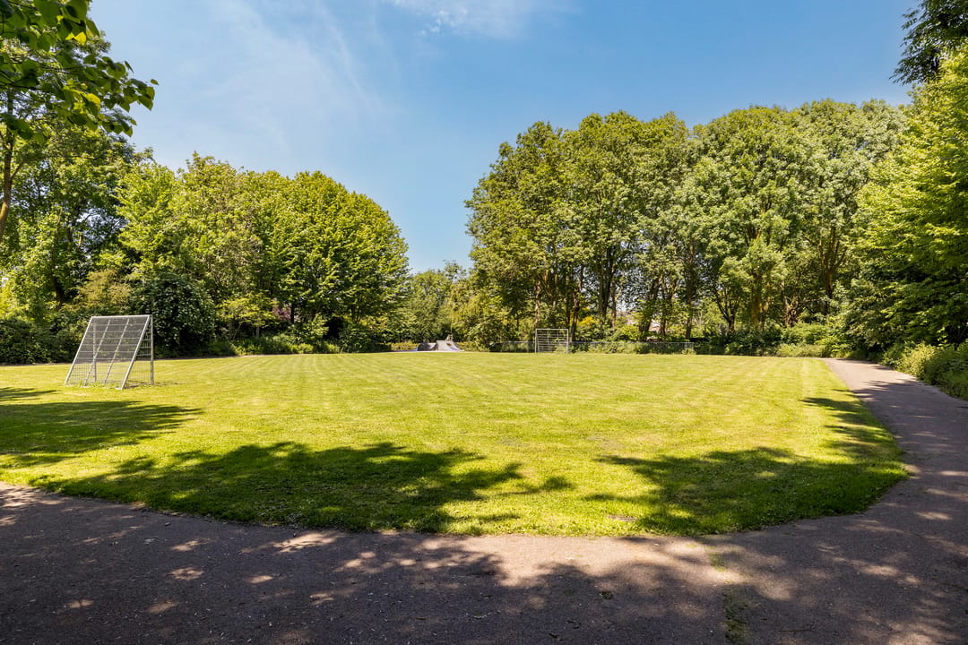 Foto 41 van Eendendaal 20
