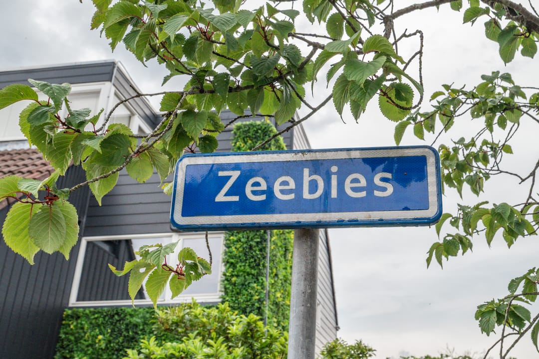 Photo 46 of Zeebies 11