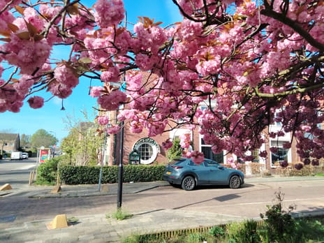 Dekkerstraat thumbnail