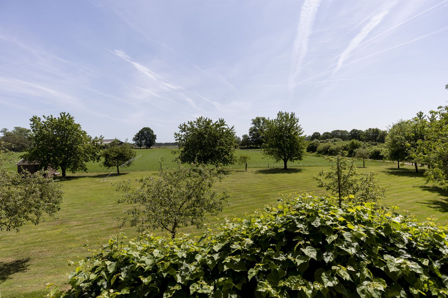 Photo 80 of Zeegstraat 16