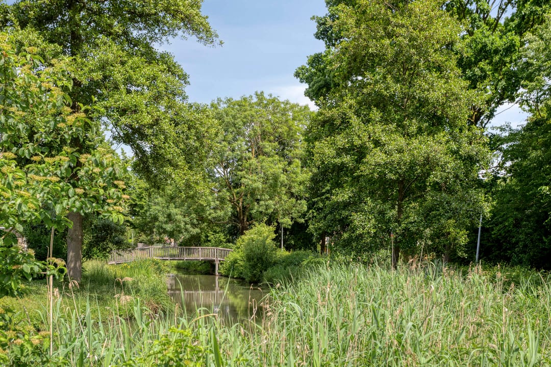 Photo 32 of Middelveld 110