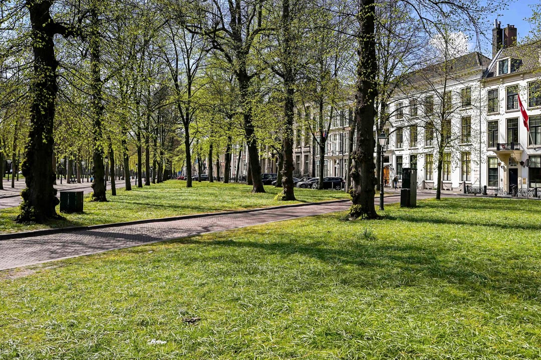 Monumental Canal House with Front and Rear House in The Hague City Center — 83