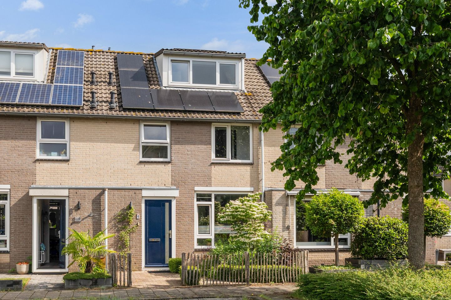 Koperwiek 4