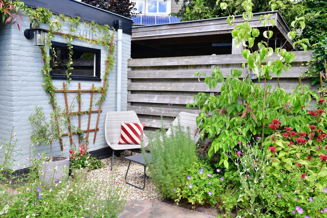 Photo 38 of Koperwiek 4