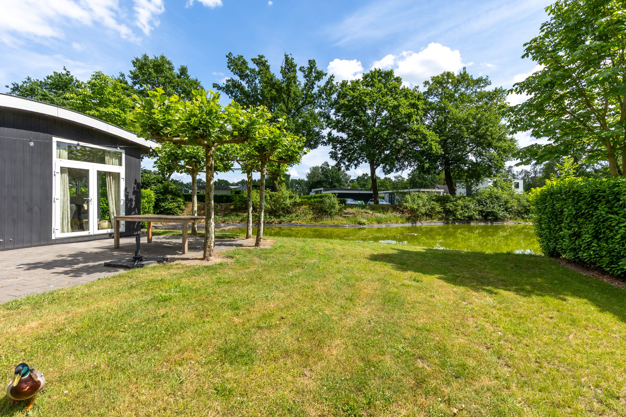 3-bedroom freehold villa in Susteren — photo 5 of 5